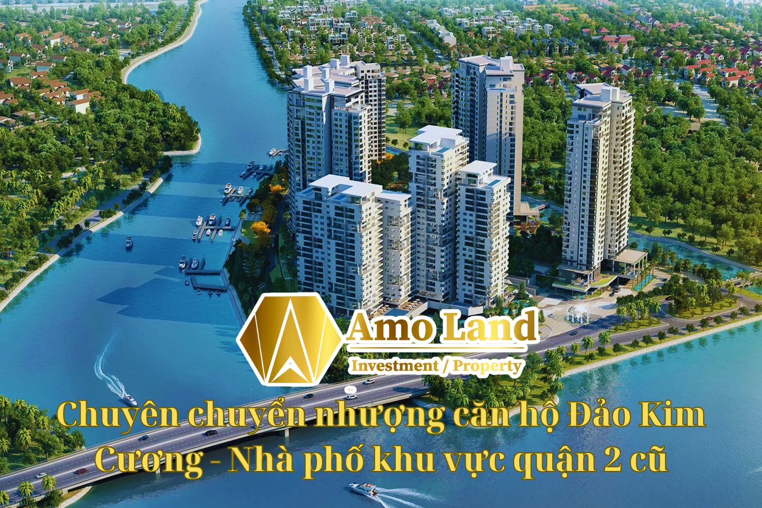 lĩnh vực hoạt động